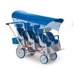Runabout Buggy - 6 seater